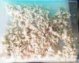 ◎離乳食中期◎鶏のムネ肉のフリージング作り方8写真