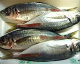 焼アジのにんにく味噌煮作り方1写真