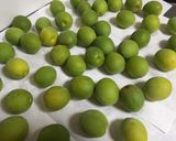 ブランデー梅酒作り方3写真