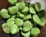 空豆の蜜煮作り方5写真