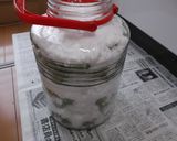 梅シロップ作り方5写真