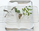 自家製ハーブソルト作り方1写真