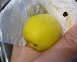 ◆自家製/薬膳梅酒(クコの実入り)◆作り方4写真