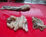 玉葱とイカのにんにく炒め作り方1写真