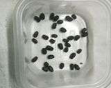 ６分で よもぎ小豆 米粉蒸しパン作り方3写真