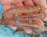 蒸しカワツエビの寿司作り方1写真