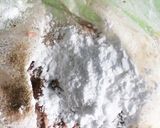 包まない楽チン焼売作り方6写真