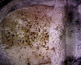 ライ麦100%のパン作り方8写真