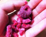ベリーのアイスキャンディ*Icepop*作り方1写真