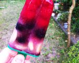 ベリーのアイスキャンディ*Icepop*作り方7写真