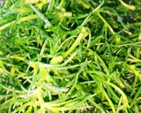 栄養たっぷり　おかひじきのやまかけ作り方1写真