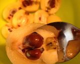 超簡単！炭酸で美味しいびわのコンポート作り方5写真
