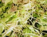 ☆中華生麺で作る本格ソース焼きそば☆作り方4写真