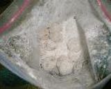 White of the hill作り方4写真