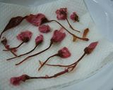 酒粕生地の桜まんじゅう作り方5写真