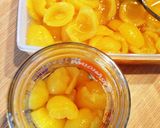 レモンジーナで＊びわのコンポートドリンク作り方12写真