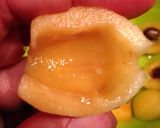 レモンジーナで＊びわのコンポートドリンク作り方4写真