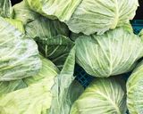 うの花入り☆ダイエット中の餃子☆作り方1写真