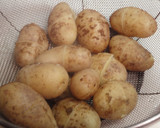基本の和食44　子芋の煮っころがし作り方3写真