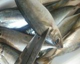 豆アジ（小アジ）の簡単手捌き♪作り方2写真