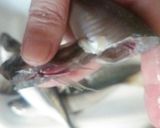 豆アジ（小アジ）の簡単手捌き♪作り方3写真