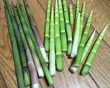根曲がり竹のサバ味噌缶煮作り方1写真