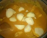新じゃがいもと いんげんの ポークカレー作り方13写真