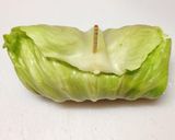 こまぎれ肉と残り野菜でロールキャベツ作り方7写真