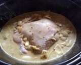 簡単スロークッカーで丸鶏ココナッツカレー作り方4写真
