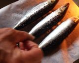 鰯の塩焼き作り方2写真