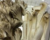 おから入りトマトソースでナポリタン風作り方1写真
