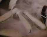 冷やし中華～焼肉風味(⌒‐⌒)作り方4写真