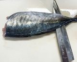 簡単♪美味しい！アジのお刺身作り方6写真