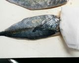 簡単♪美味しい！アジのお刺身作り方11写真