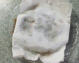 簡単♪美味しい！アジのお刺身作り方13写真