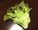 シナシナレタス復活！そして長持ち！作り方1写真