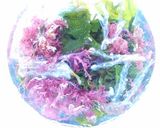 豆腐POKE作り方3写真
