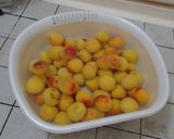はちみつ入り減塩梅干し作り方2写真