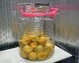 はちみつ入り減塩梅干し作り方9写真