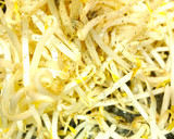激ウマ！鉄板焼き屋さんのもやし炒め♡*作り方2写真