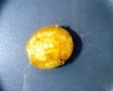 タラの芽とチキンの柚胡椒のスープ作り方1写真