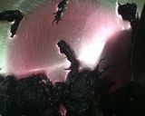 初めての梅干し（七折小梅）作り方8写真