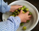 梅干しの漬け方☆作り方6写真