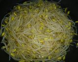超簡単❤　ピリカラ　味付豆もやし！作り方1写真
