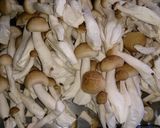 しめじ☆照り煮作り方1写真