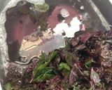 初心者さん向き紫蘇漬け〜(‾*‾ ) ♪作り方14写真