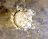 フライパンでパパッとパリパリPIZZA作り方4写真