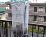 減塩 小梅の梅干し 七折小梅 ②赤しそ編作り方6写真