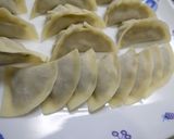 お弁当に！ミニミニ餃子作り方1写真