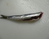 銚子の大人気お土産！背黒いわしの酢漬け作り方3写真